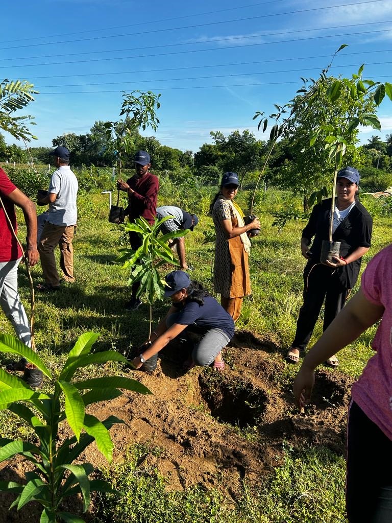 Sundaram Finance tree planting initiative